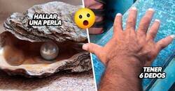 Enlace a Datos estadísticos sobre eventos muy poco probables pero que podrían pasar