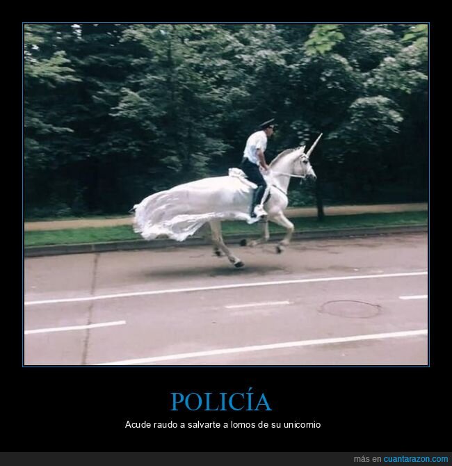 policía,unicornio,caballo,wtf