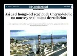 Enlace a Aún hay esperanza para este 2020...