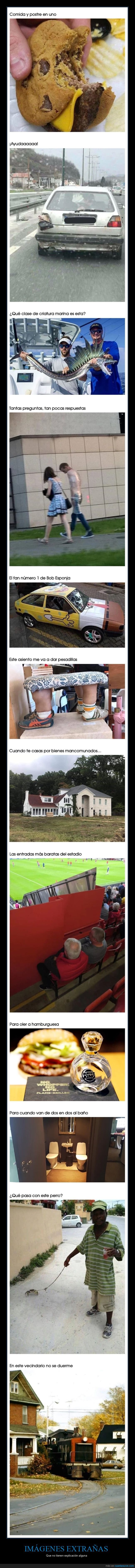 im&aacute;genes extra&ntilde;as,sin explicaci&oacute;n,wtf