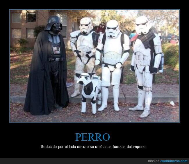 disfraces,star wars,perro