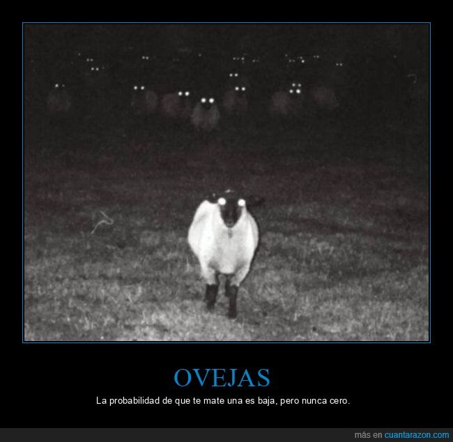ovejas,miedo,wtf