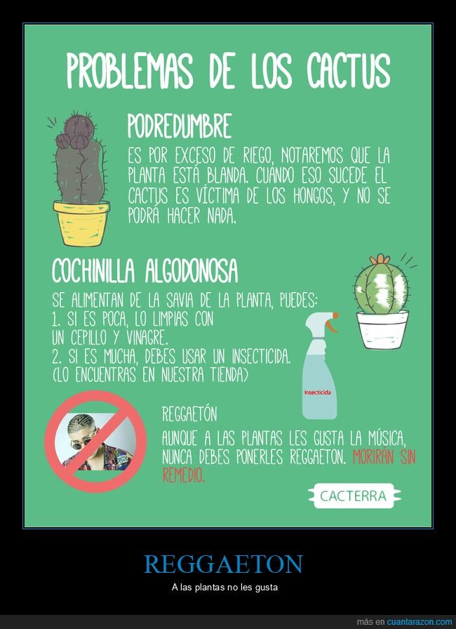 reggaeton,cactus
