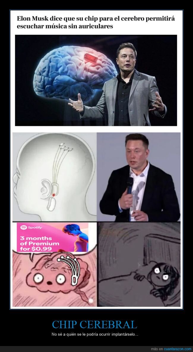 cerebro,chip,elon musk,m&uacute;sica