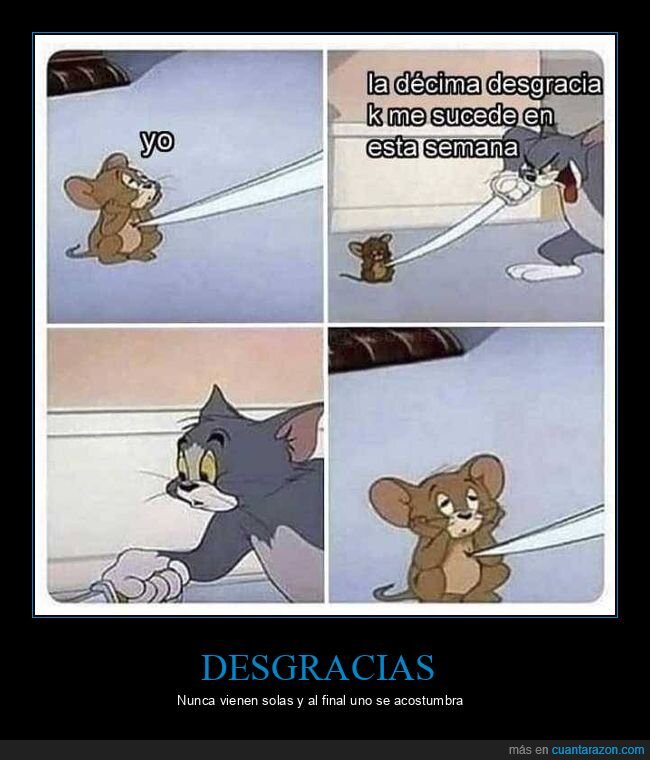 desgracias,tom y jerry