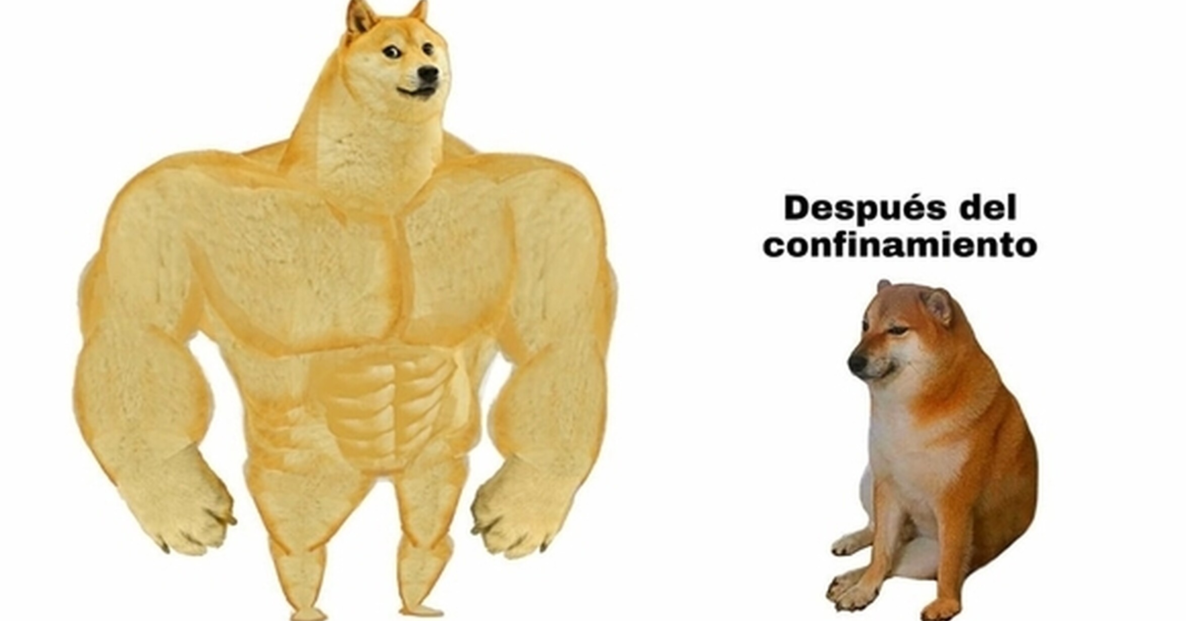 Сильный и слабый пес