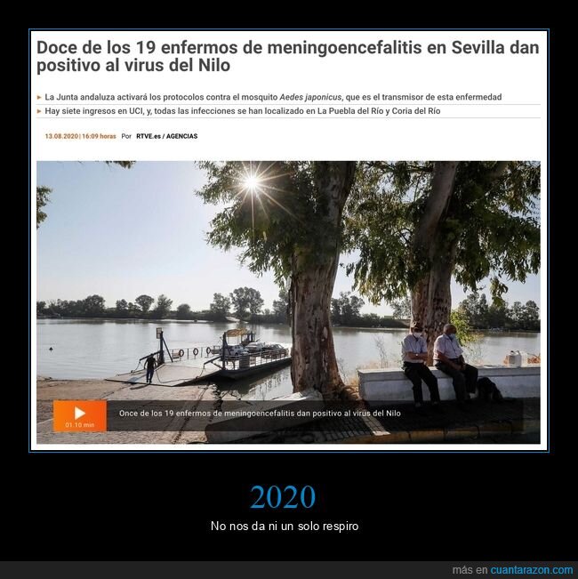 meningoencefalitis,virus del nilo