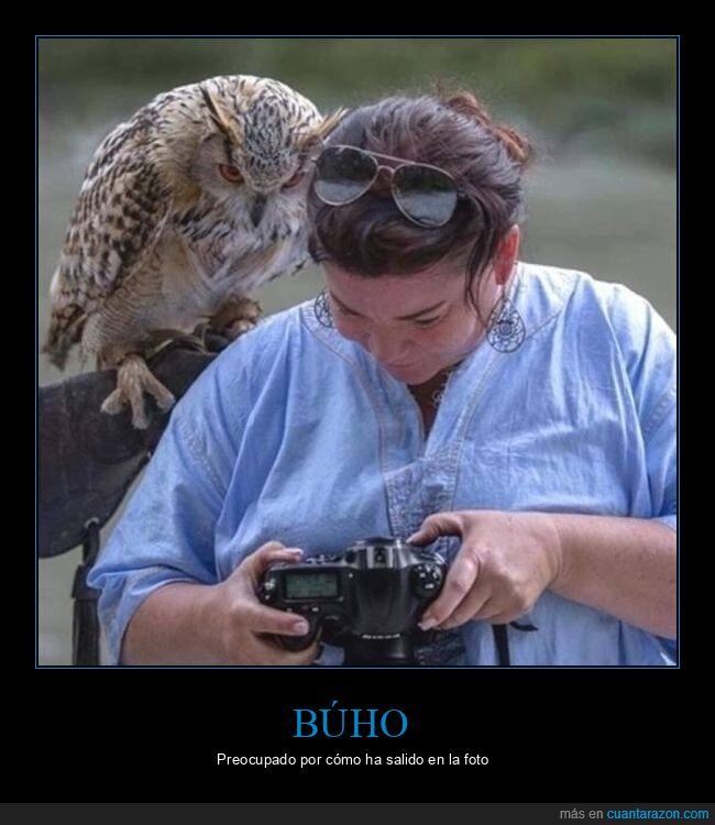 b&uacute;ho,foto,mirando