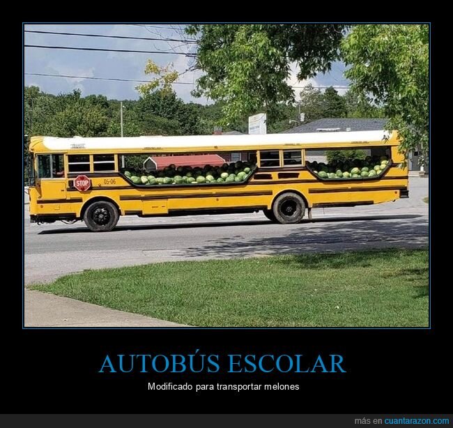 autobús,modificado,melones
