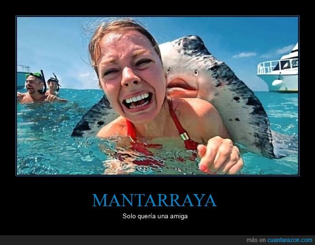 mantarraya,miedo,mar