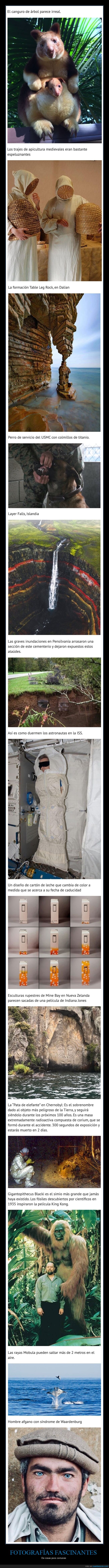 fotografías fascinantes,cosas poco comunes,curiosidades
