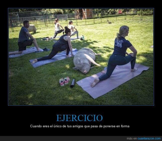 ejercicio,cerdo,wtf