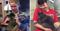 Enlace a Historias de dueños que encontraron a sus gatos perdidos años después de su desaparición