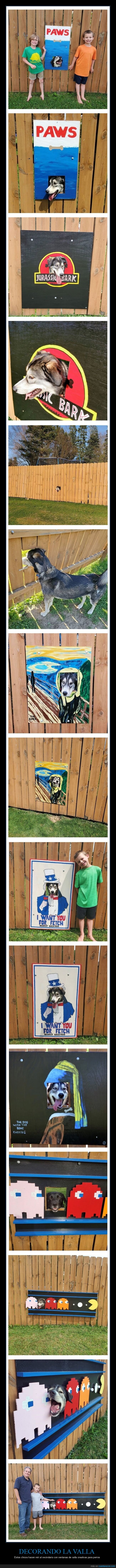 decorando,valla,ventana,perros