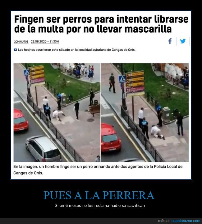 coronavirus,fingir,mascarillas,perros,personajes,policía,wtf