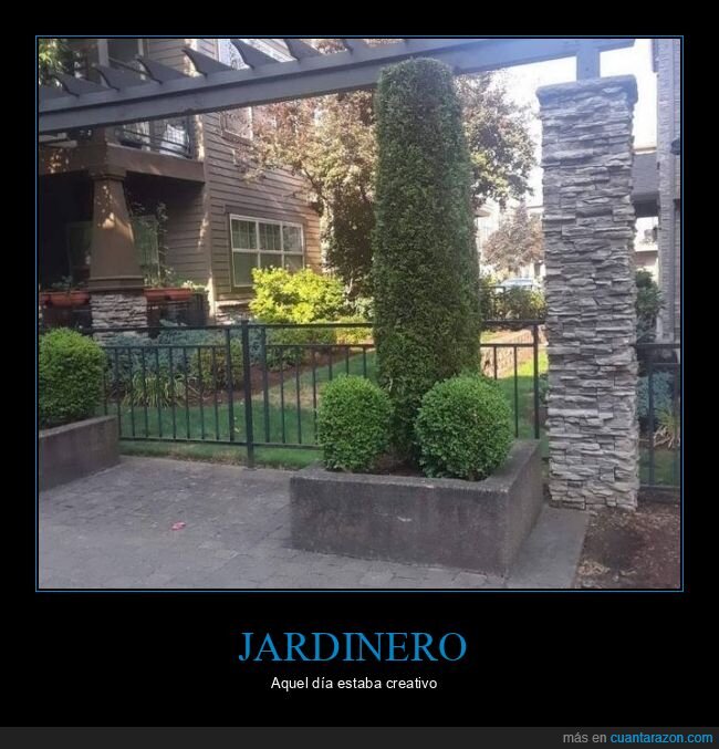 seto,forma,jardinero