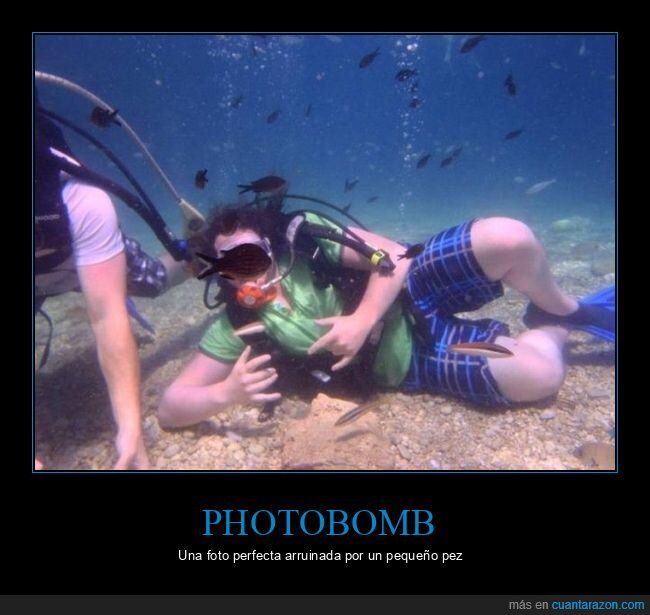 pez,submarinista,photobomb,fails