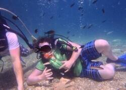 Enlace a Justo en el sitio