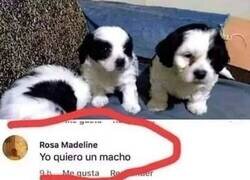 Enlace a Señora, por favor.