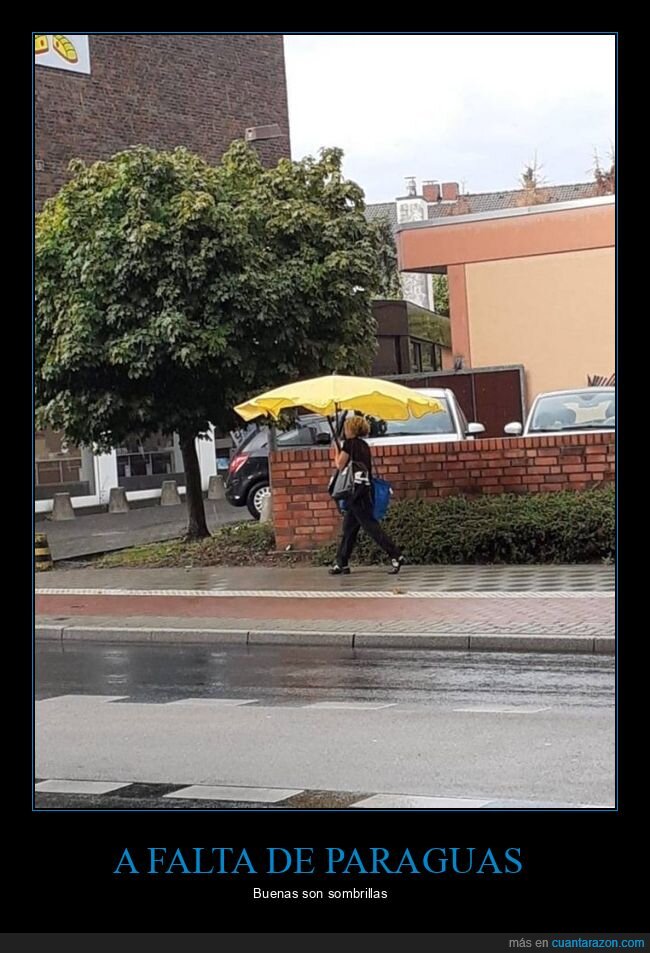 paraguas,sombrilla,wtf