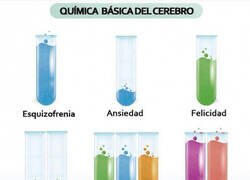 Enlace a Somos química