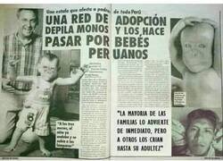 Enlace a Red de estafadores desmantelada