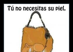 Enlace a Necesidades no tan básicas