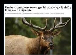 Enlace a Ciervo vengativo