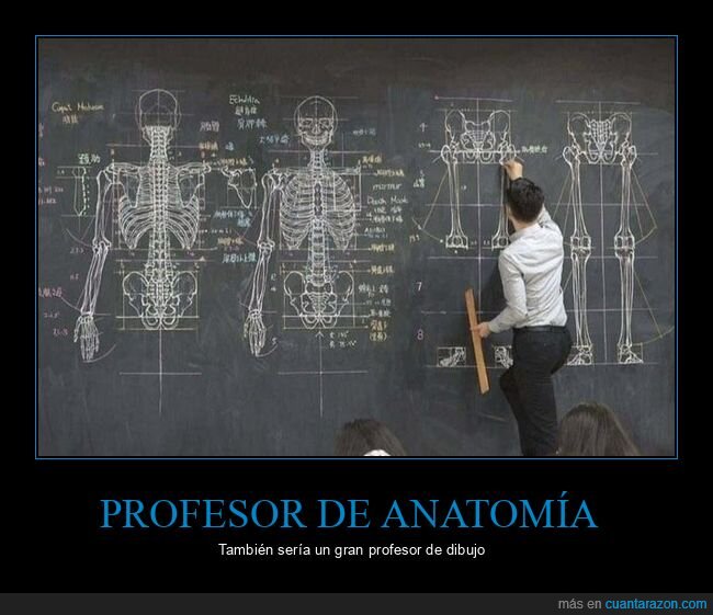 profesor,anatomía,dibujo