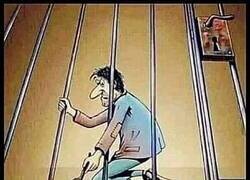 Enlace a Un plan perfecto