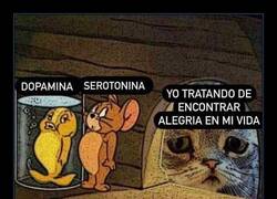 Enlace a Alegría esquiva