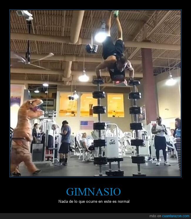 gimnasio,equilibrio,pesas,dinosaurio,wtf