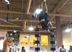 Enlace a Un gimnasio atípico