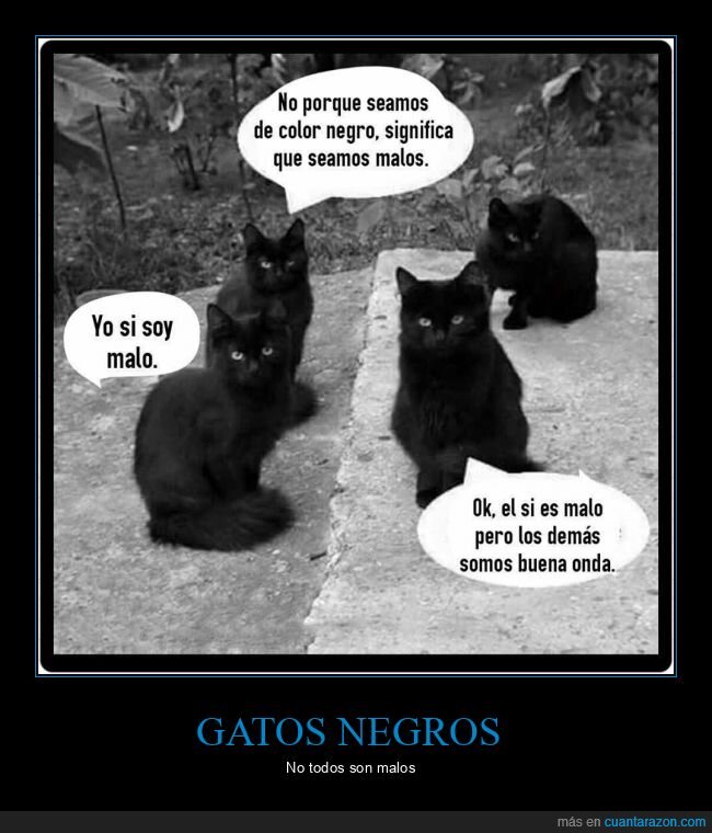 gatos,malos,negros