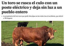 Enlace a Consecuencias de un picor de culo