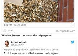 Enlace a La gente muestra cómo los repartidores de Amazon “esconden” sus paquetes