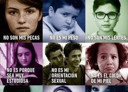 Enlace a La verdad sobre el bullying