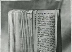 Enlace a Salvado por la Biblia