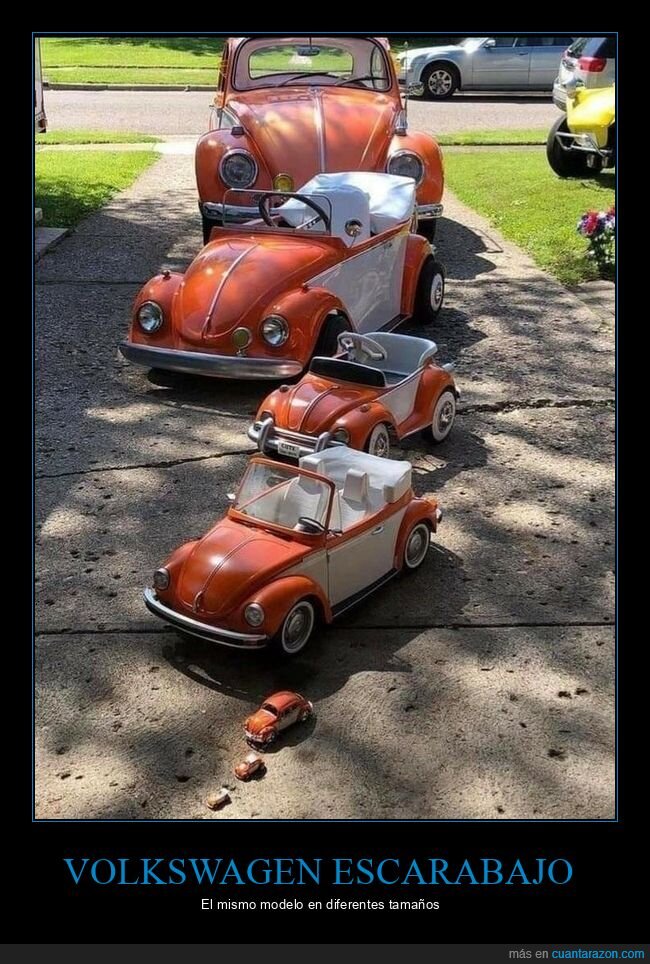 volkswagen,escarabajo,tama&ntilde;os