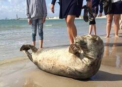 Enlace a El foco de atención