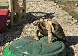 Enlace a Lleva mucho tiempo sola