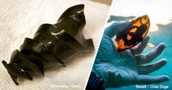 Enlace a Huevos raros y extraños de animales que te harán dar gracias por ser mamífero