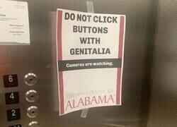 Enlace a Ya no dejan hacer nada...