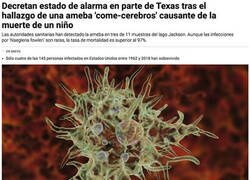 Enlace a 2020 sigue en su línea