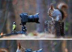 Enlace a Su pasión es la fotografía