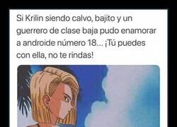 Enlace a El mayor logro de Krilin