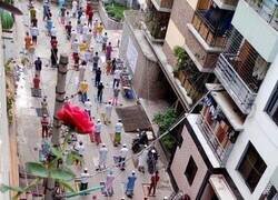 Enlace a Carrera multitudinaria