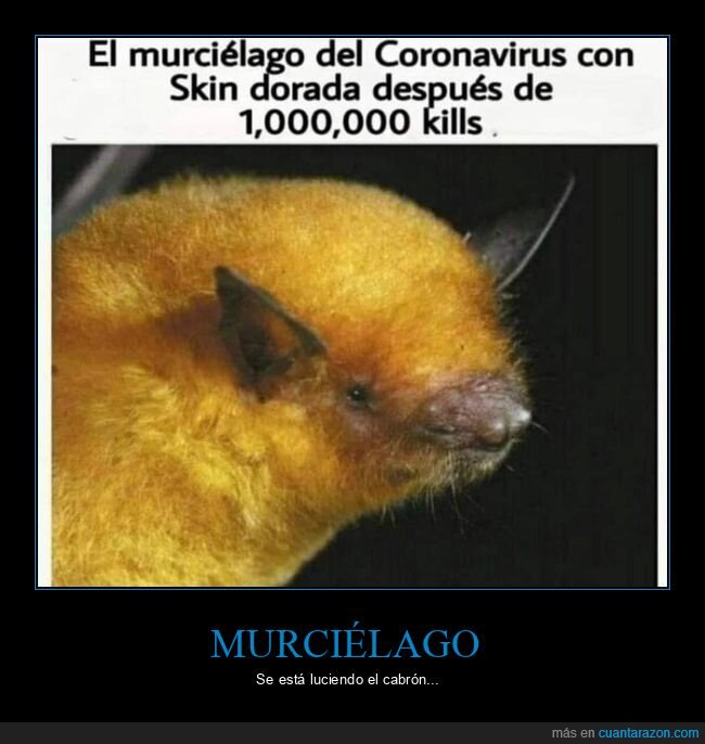 coronavirus,kills,muertes,murciélago,skin dorada