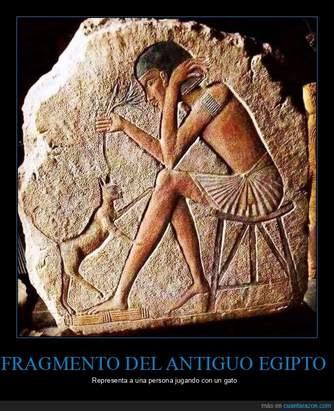 egipto,gato,jugando