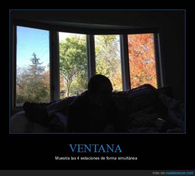 ventana,estaciones,árboles